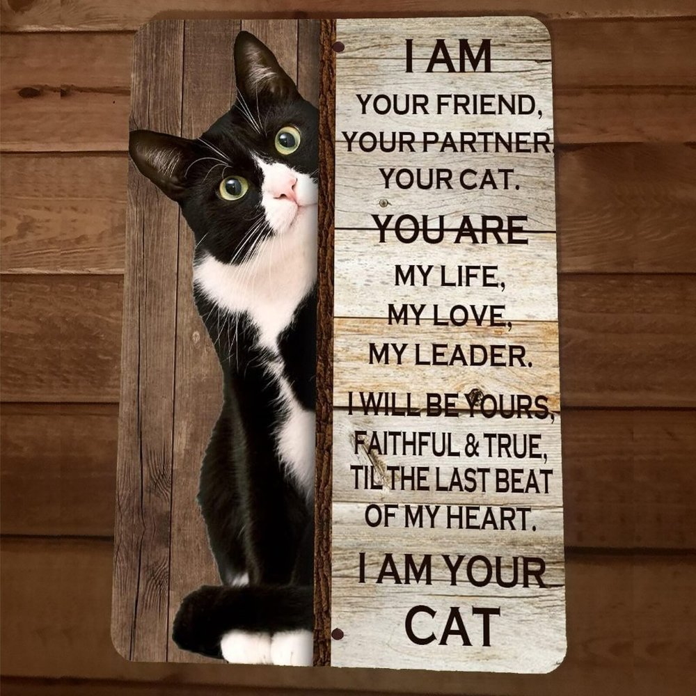 I Am Your Black and White Cat 8x12 Metal Wall‎ Sign Animal Poster